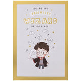 Warner Brother Harry Potter Hedwig Owl with Maze Activity Birthday Card