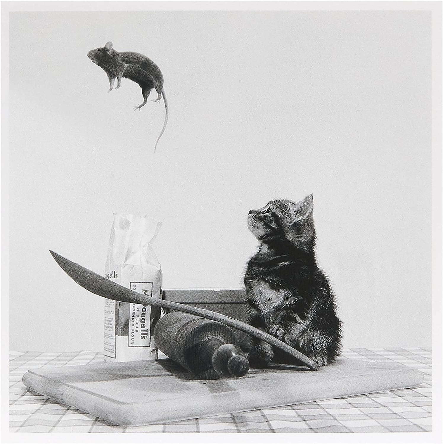 Birthday Card for Him/Her/Friend - Cat & Mouse Design