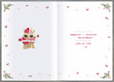 Boofles standing on ladder hanging -Sister & Partner Christmas Card
