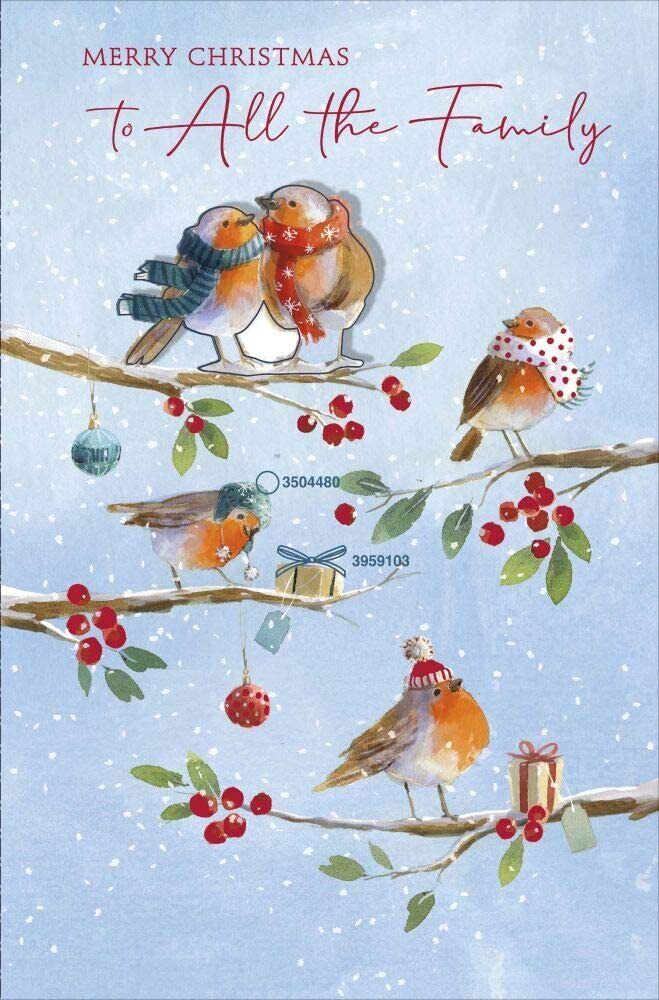 To All The Family Robins Traditional Christmas Card
