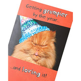 Funny Birthday Card - Birthday Card for Him - Birthday Card for Her - Humerous Card - Grumpy Cat Card for Friend/Adult