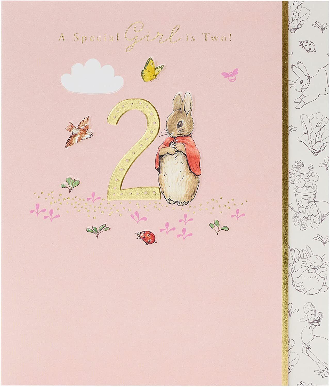 Peter Rabbit a Special Girl is Two! card
