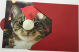 3D Holographic Cat In Xmas Hat Christmas Card