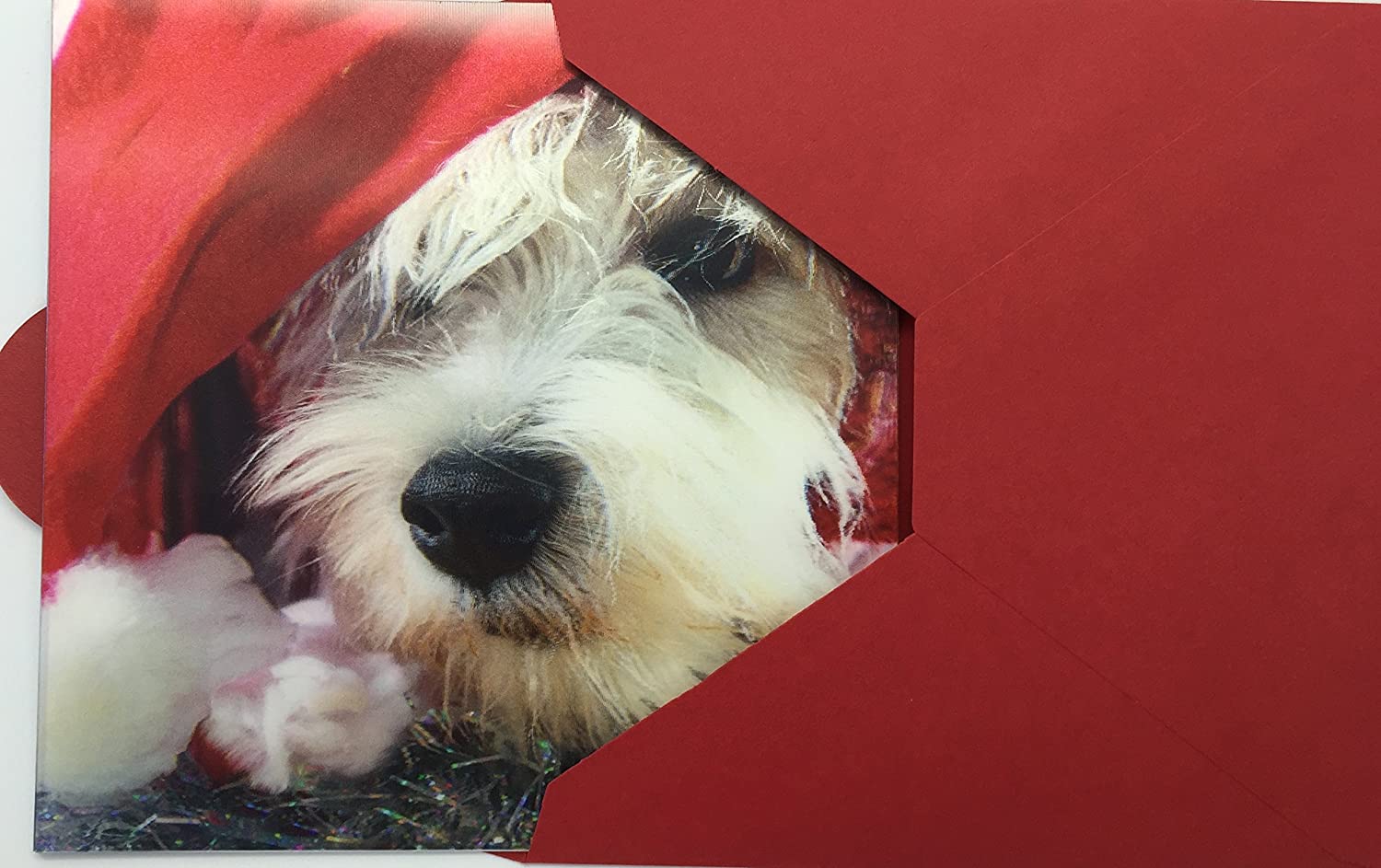 Whimsical Christmas greeting card featuring a 3D dog in a Santa hat, from Carte Blanche, perfect for holiday cheer.