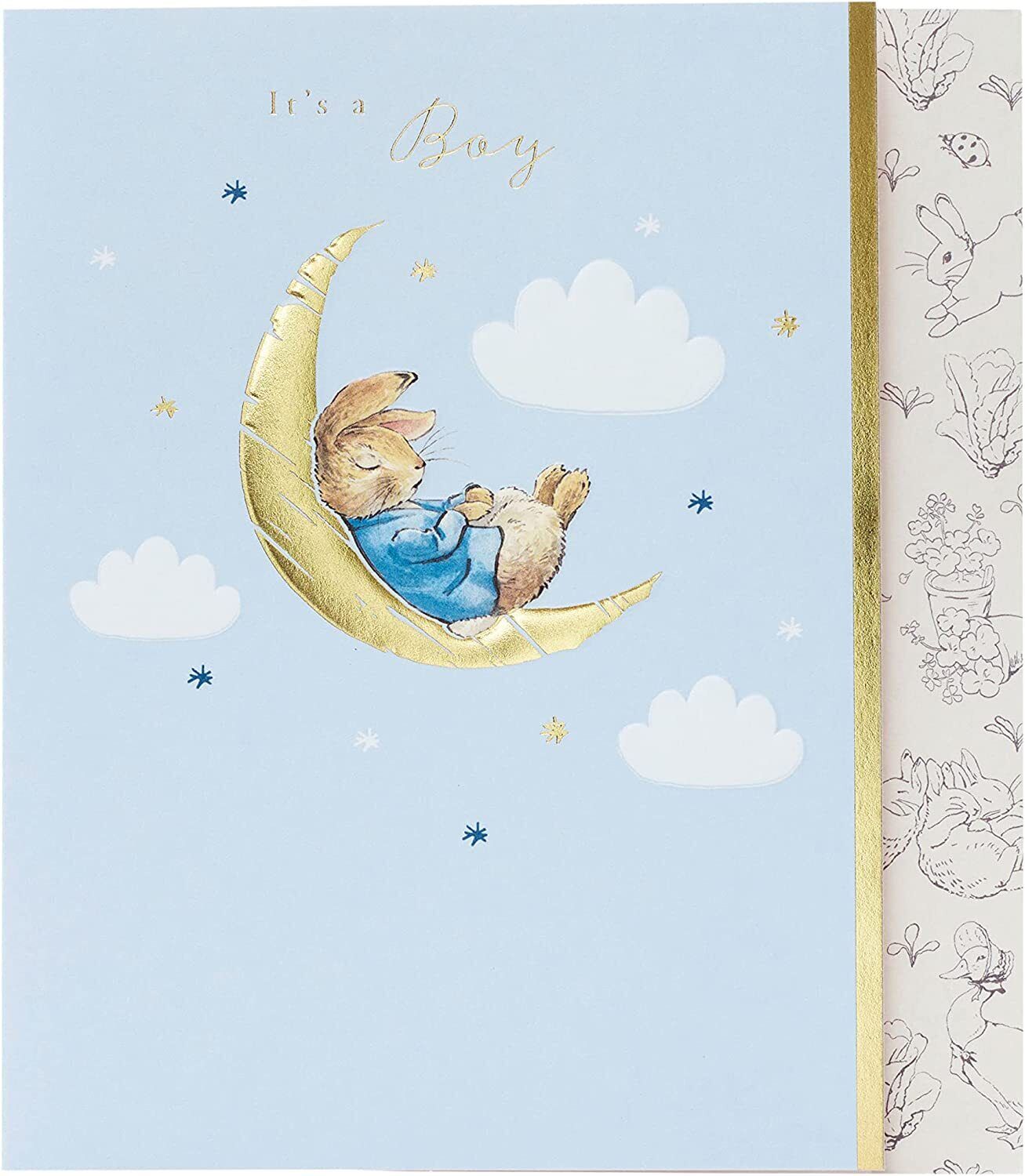 Peter Rabbit Cute New Baby Boy Congratulations Card