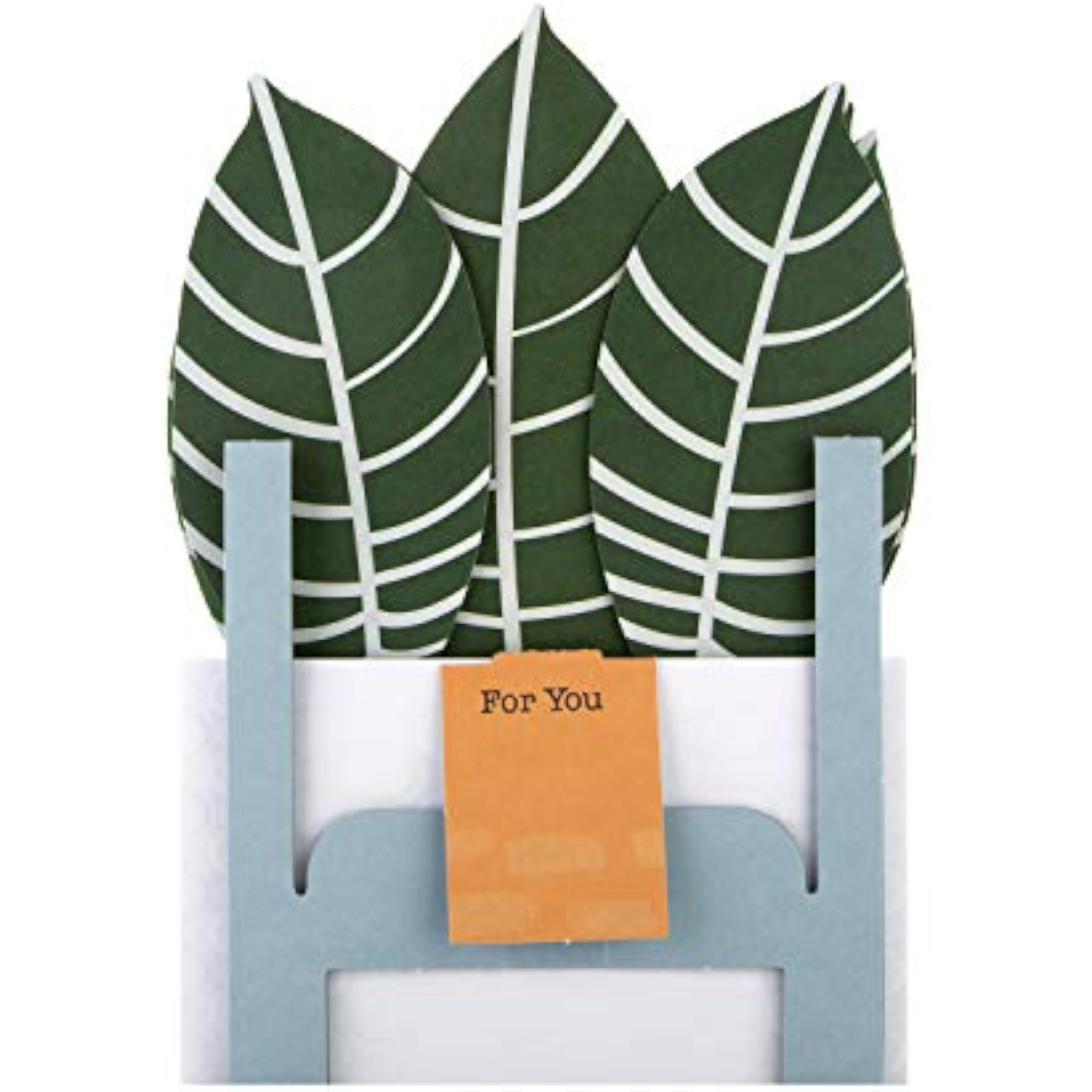 Contemporary Zebra Plant pop-up greeting card by Hallmark featuring a colorful zebra and plant design on the front.