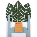 Contemporary Zebra Plant pop-up greeting card by Hallmark featuring a colorful zebra and plant design on the front.