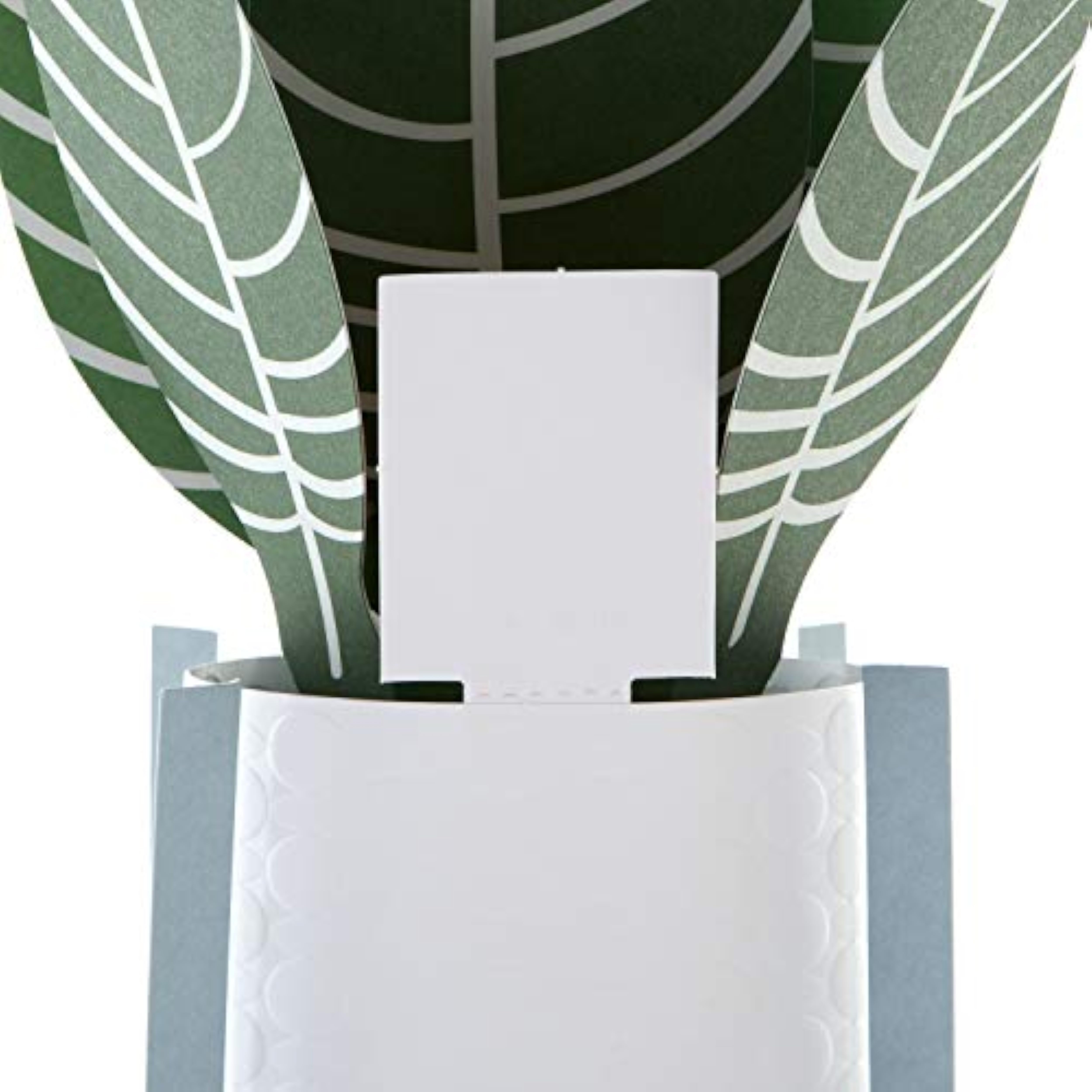 Contemporary Zebra Plant greeting card by Hallmark featuring a stylish illustrated zebra and vibrant plant design.