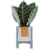 Contemporary Zebra Plant greeting card by Hallmark featuring a colorful zebra and plant design on a white background.