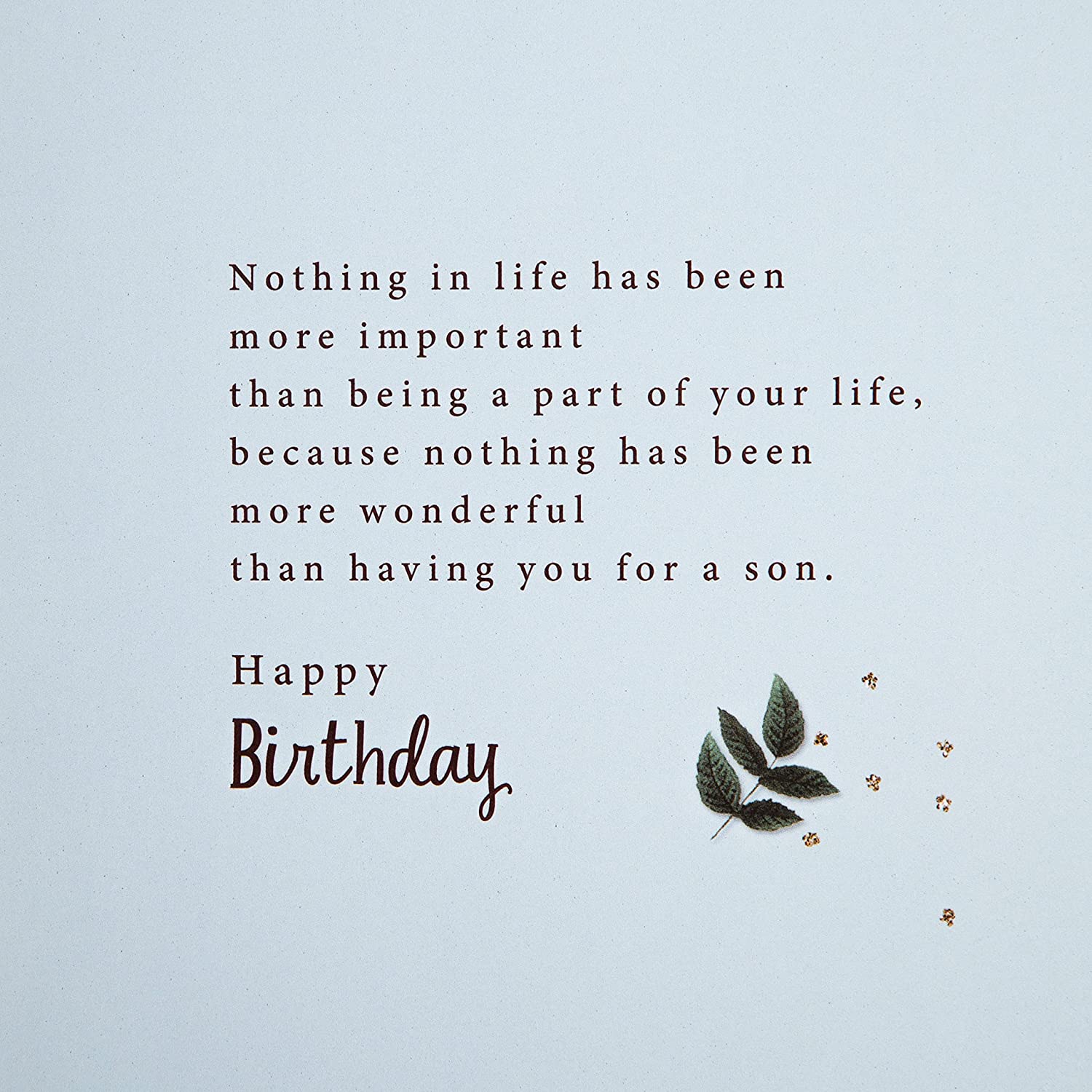 Hallmark son's birthday greeting card with traditional verse, featuring colorful design and heartfelt message inside.