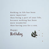 Hallmark son's birthday greeting card with traditional verse, featuring colorful design and heartfelt message inside.