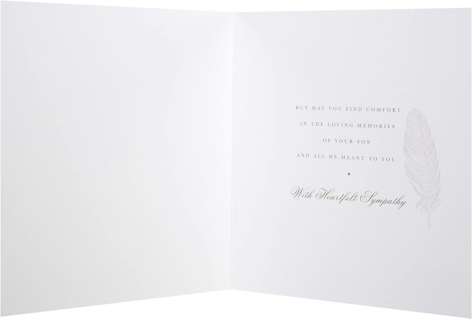 Hallmark Son Loss Sympathy Feathers greeting card featuring soft feather design for expressing condolences.