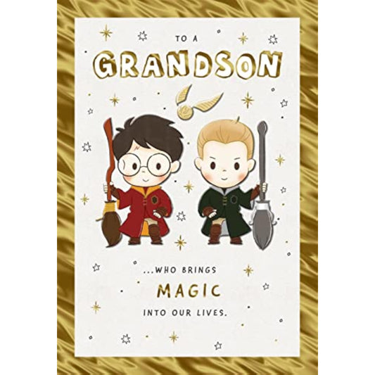 Hallmark Harry Potter grandson birthday greeting card featuring magical wizard design and festive Harry Potter imagery.