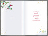 Snow Globe with Robins and Bird House Sister & Brother In Law Christmas Card