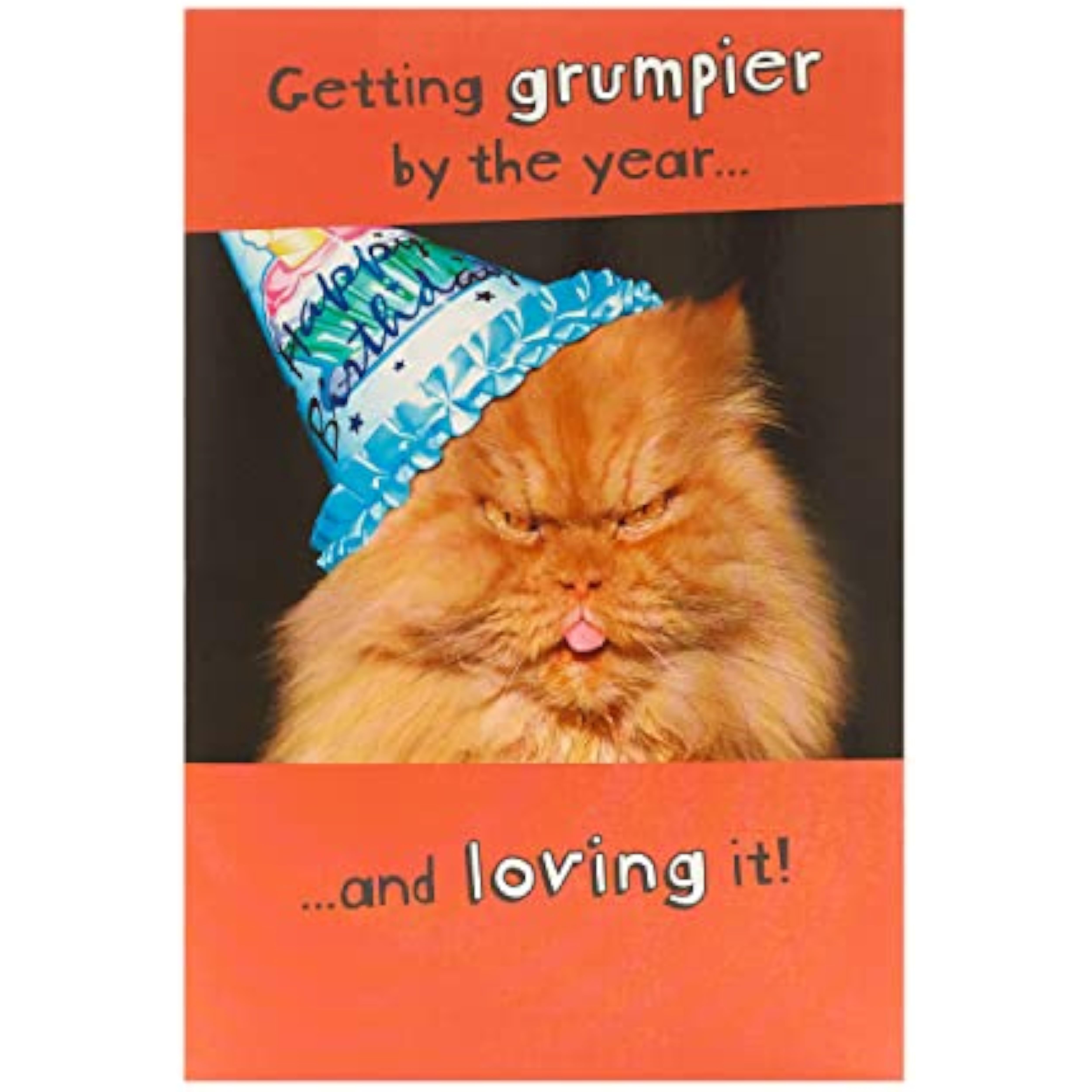 Funny Birthday Card - Birthday Card for Him - Birthday Card for Her - Humerous Card - Grumpy Cat Card for Friend/Adult