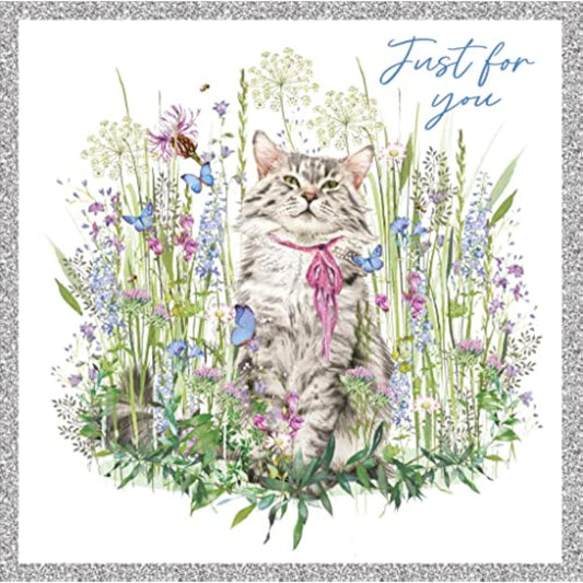 Grey tabby cat in a meadow on a silver foil birthday greeting card by NQ, showcasing a charming feline scene.