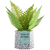 Hallmark Pop Up Card - Contemporary Fern Plant Design