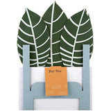 Hallmark Pop Up Card - Contemporary Zebra Plant Design