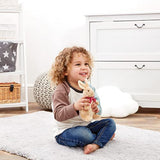 Rainbow Designs Peter Rabbit 16cm soft plush toy featuring Flopsy, a cuddly Beatrix Potter-inspired stuffed animal for newborns.