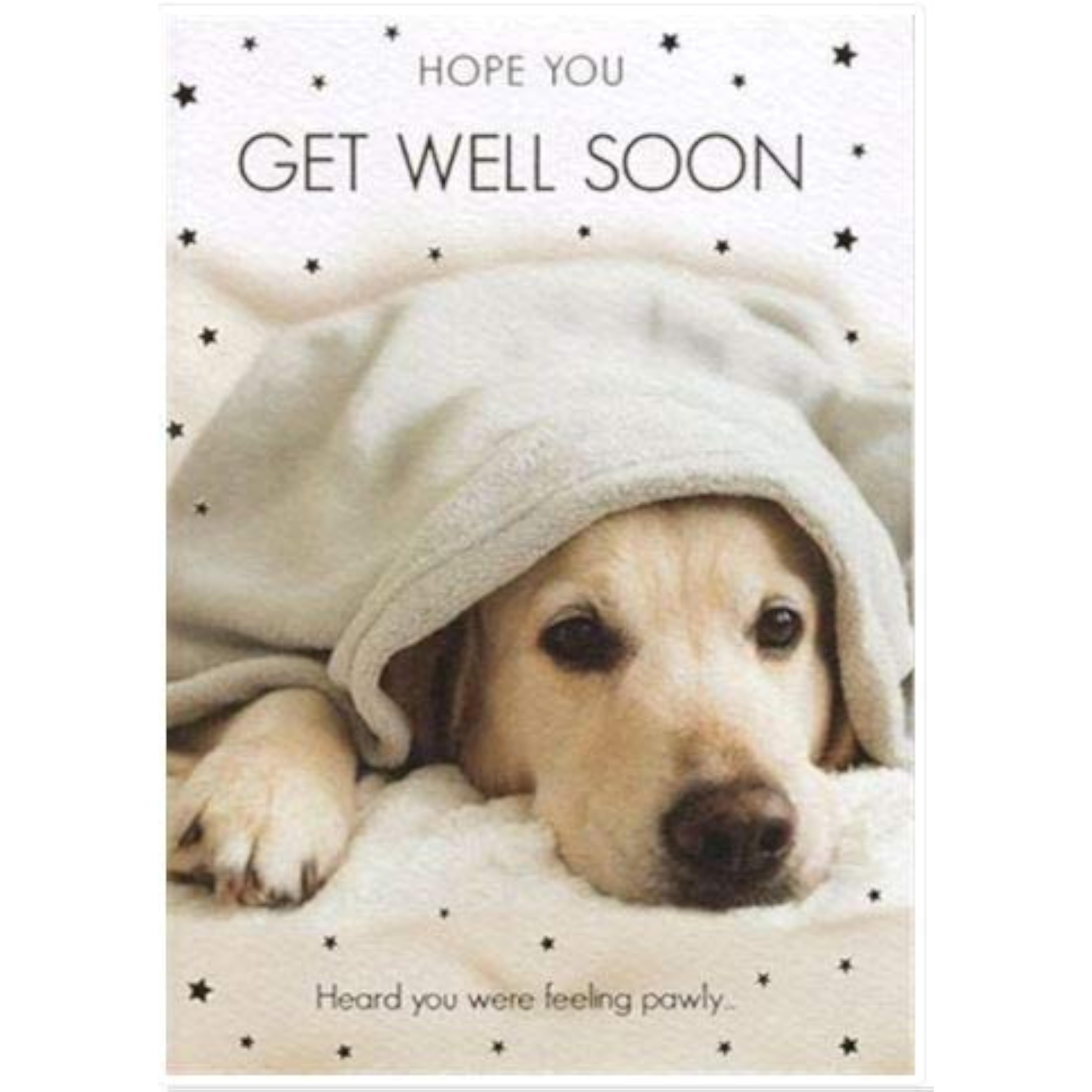 Hope You Get Well Soon Greetings Card - Photographic Dog Under Blanket - Foil Finish - For Her