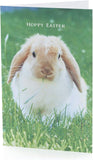 Bunny Hoppy Easter Pack Of 5 Cards
