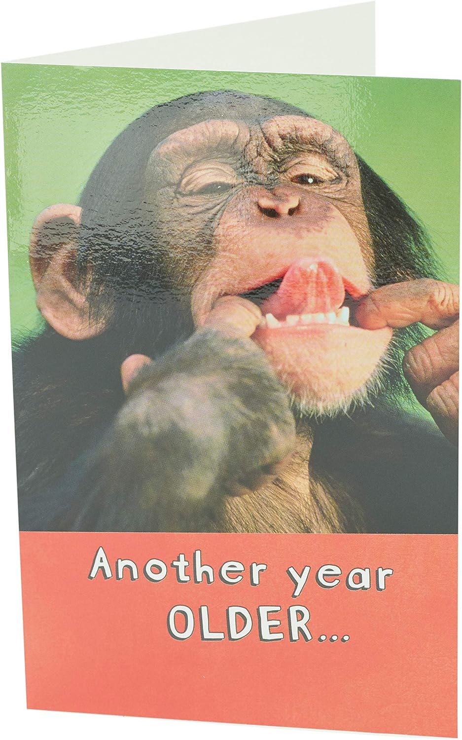 Cheeky Monkey "Say Cheese" funny birthday card by UK Greetings featuring a playful monkey illustration and cheerful design.