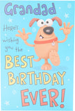 Funny birthday greeting card from UK Greetings featuring a message wishing your grandad the best birthday ever.