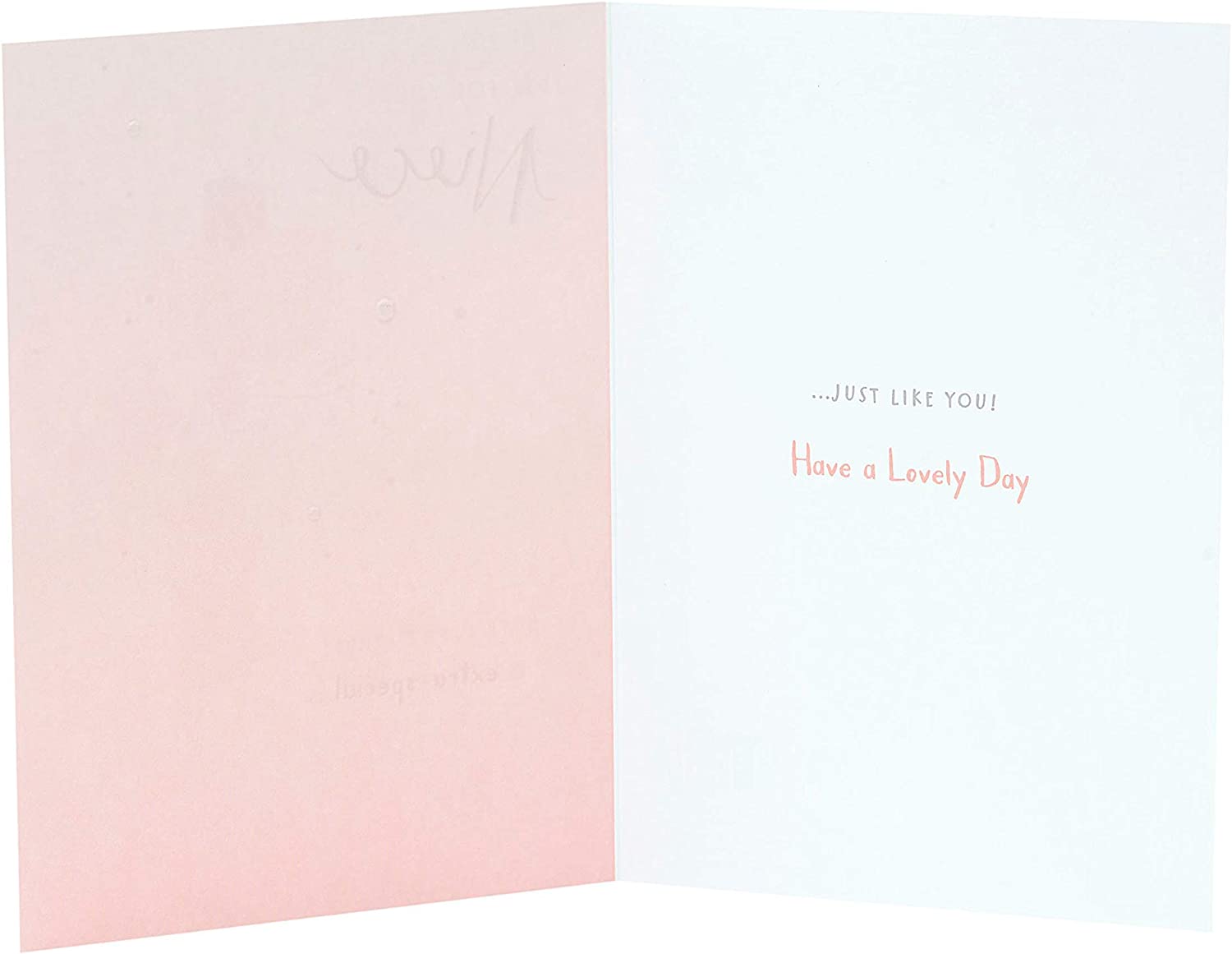 Cute teddy bear birthday greeting card for niece with pink foil accents, by UK Greetings.