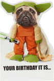 Adorable Yoda Pug Star Wars birthday greeting card featuring a cute pug dressed as Yoda from UK Greetings.