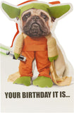Adorable Yoda Pug Star Wars greeting card from UK Greetings featuring a cute pug dressed as Yoda for birthdays