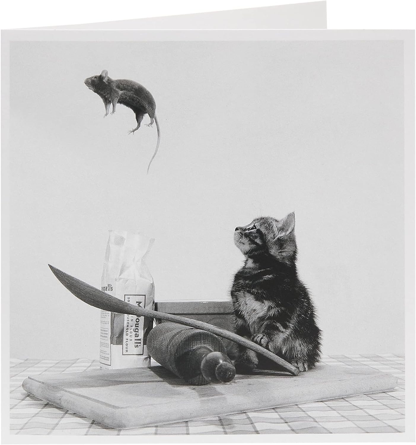 Cat and mouse birthday greeting card for him or her from UK Greetings, featuring colorful illustrated animals and celebratory design.