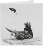 Cat and mouse birthday greeting card for him or her from UK Greetings, featuring colorful illustrated animals and celebratory design.