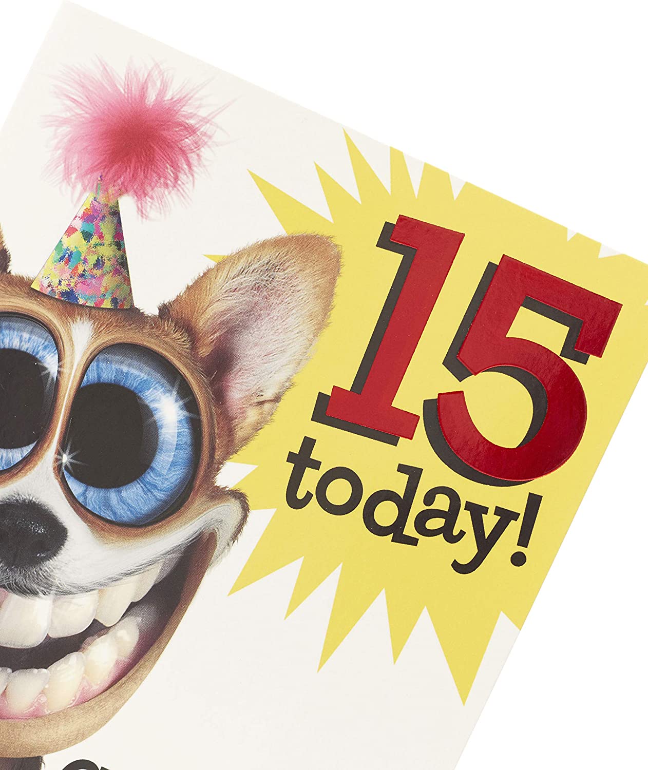 Celebrate Go Crazy 15th Birthday Card featuring a grinning dog from UK Greetings, with colorful birthday design and playful imagery.