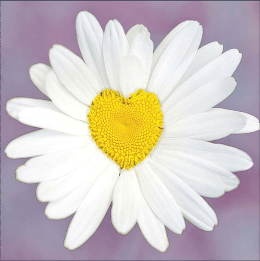 Daisy Heart all occasion greeting card by UK Greetings featuring a floral heart design on white cardstock.