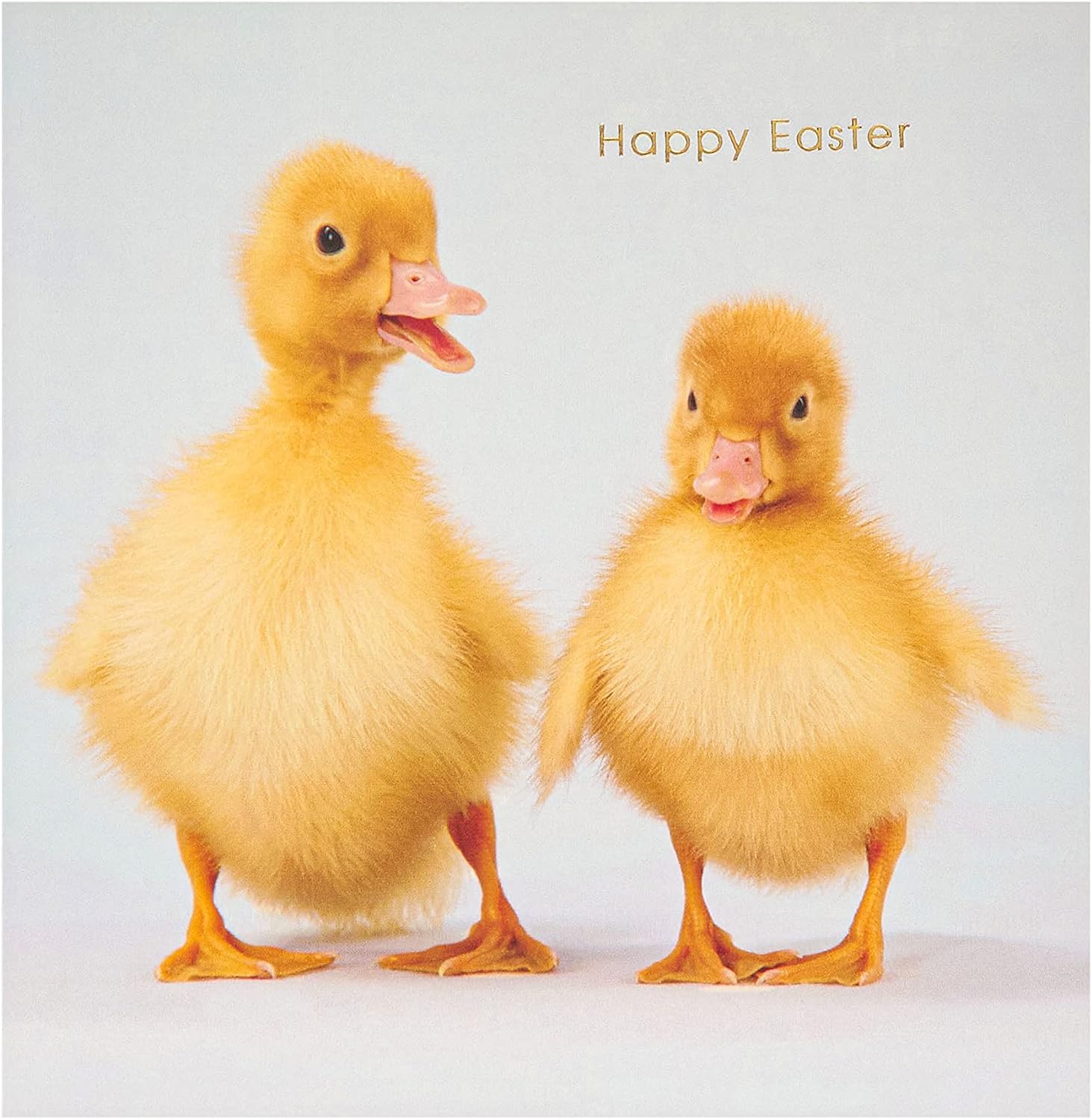 Easter greeting card for him, her, or friend featuring cute ducklings design with an envelope, by UK Greetings.
