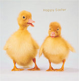Easter greeting card for him, her, or friend featuring cute ducklings design with an envelope, by UK Greetings.