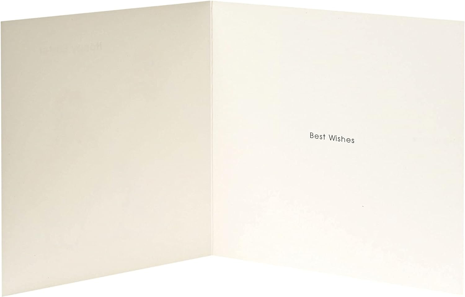 Easter greeting card for him, her, or friends with ducklings design and envelope, by UK Greetings.