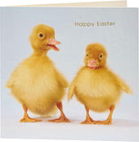 Easter greeting card for him, her, or friends featuring cute ducklings design with envelope from UK Greetings.