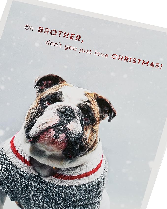 Festive Bulldog Brother Christmas card with red foil accents, featuring a cheerful bulldog design, by UK Greetings.