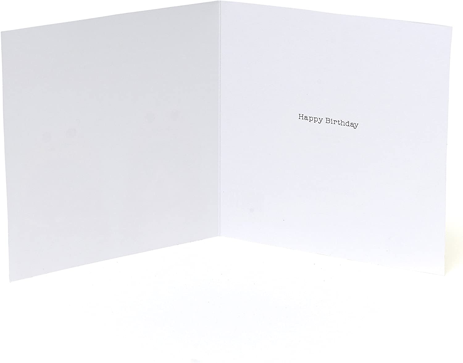 Funny Cats in Hats sister birthday greeting card featuring playful cat illustrations for celebrating special occasions.