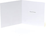 Funny Cats in Hats sister birthday greeting card featuring playful cat illustrations for celebrating special occasions.