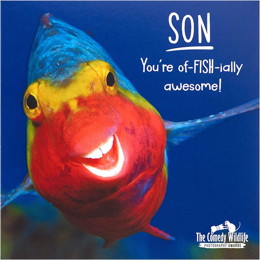 Funny Fish Son birthday greeting card from UK Greetings showing a colorful fish illustration and cheerful message inside.