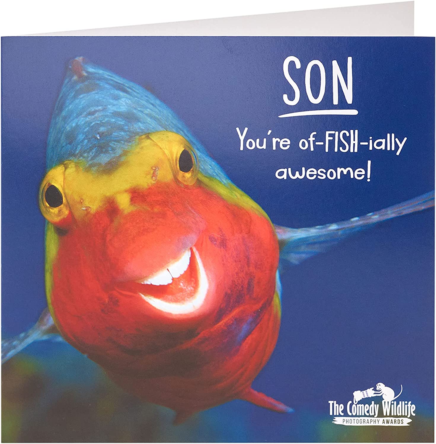 Funny Fish Son birthday greeting card featuring colorful fish illustrations and playful message from UK Greetings.