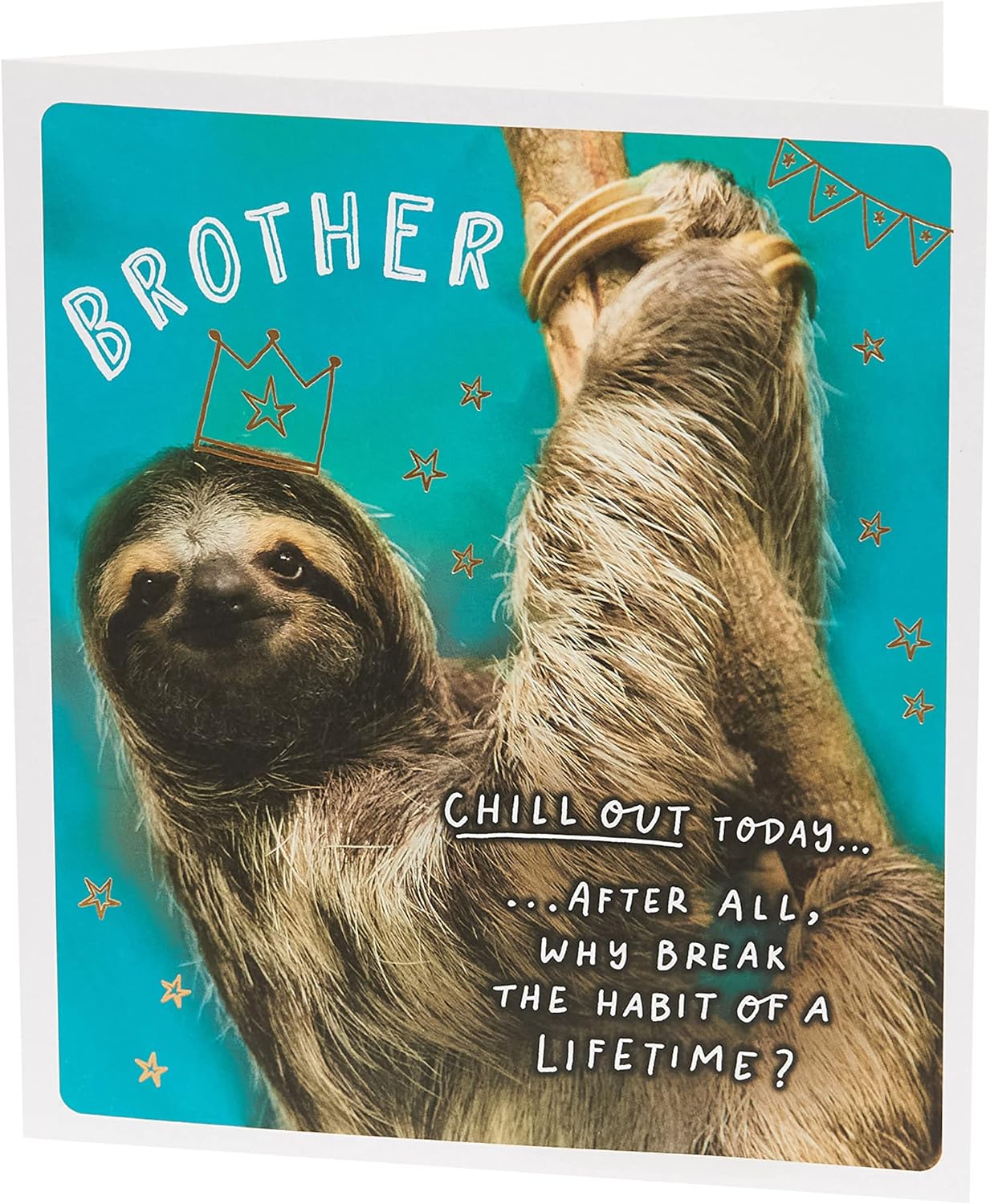 Funny sloth brother birthday greeting card from UK Greetings featuring a cute sloth illustration and festive birthday design.