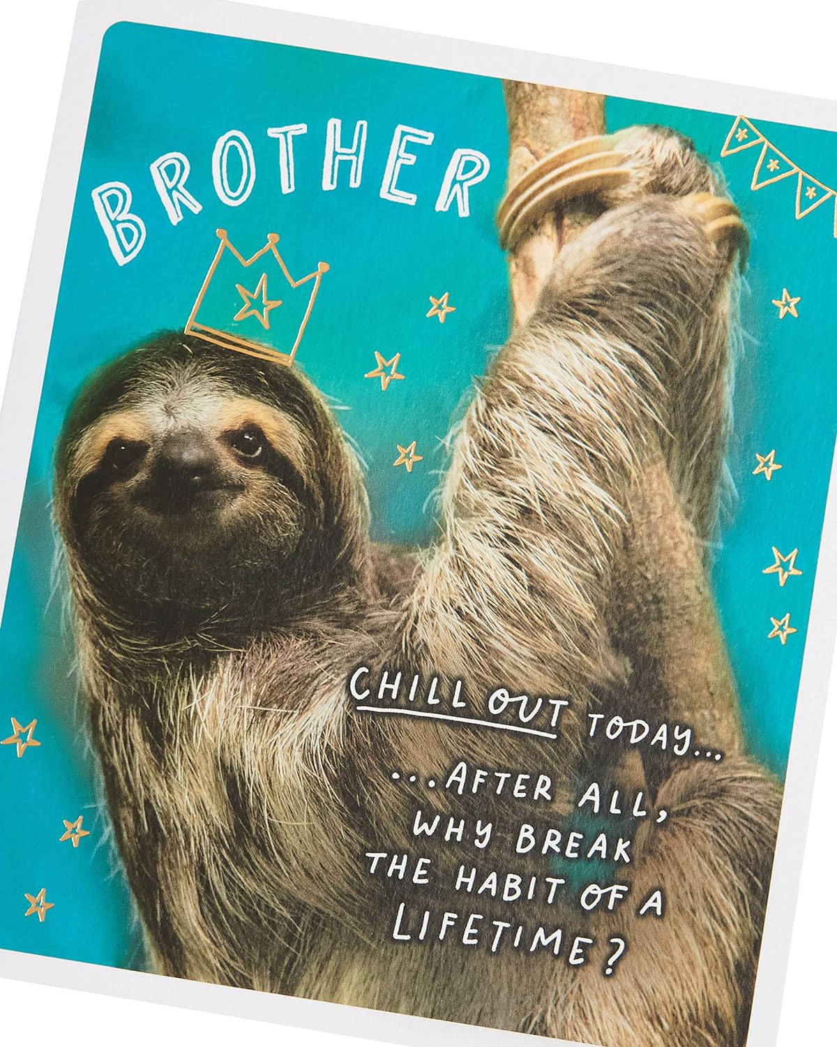 Funny sloth brother birthday greeting card from UK Greetings featuring a humorous sloth illustration.