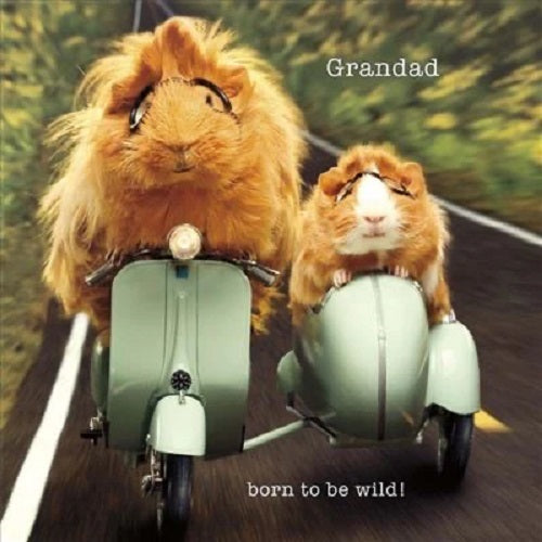 Father’s Day greeting card with "Grandad Born to be Wild!" design, featuring colorful, playful artwork on the UK Greetings card.