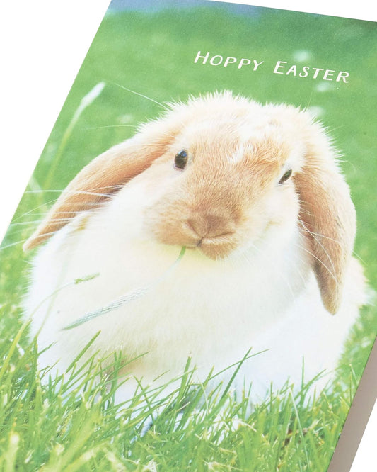 Hoppy Bunny Easter greeting card from UK Greetings featuring a cute bunny and floral design in a photographic style.