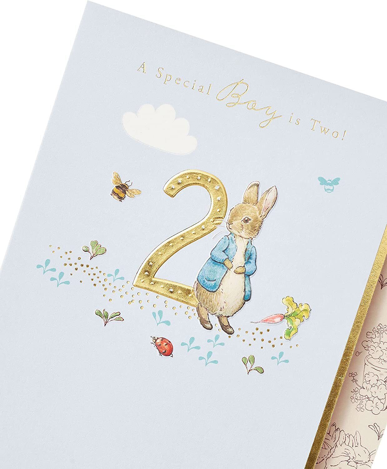 Peter Rabbit greeting card for a special boy's second birthday, featuring colorful illustrations and festive design by UK Greetings.