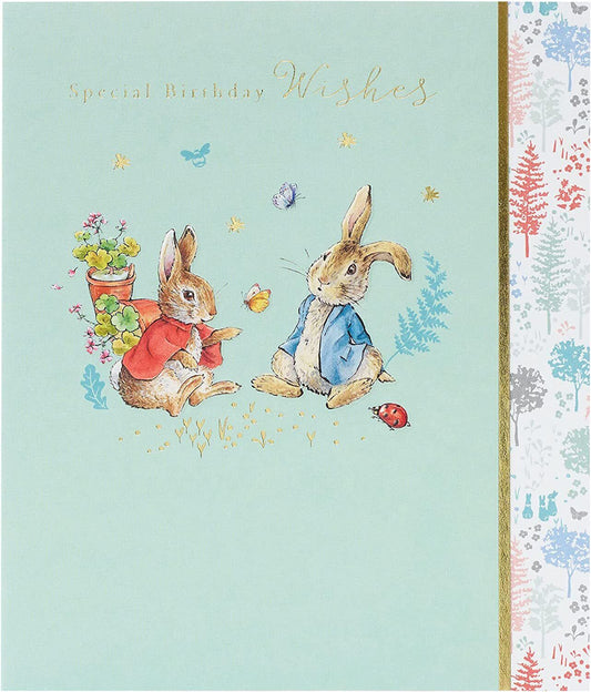 Peter Rabbit Special Birthday Wishes greeting card by UK Greetings featuring charming illustrations for birthday celebrations.