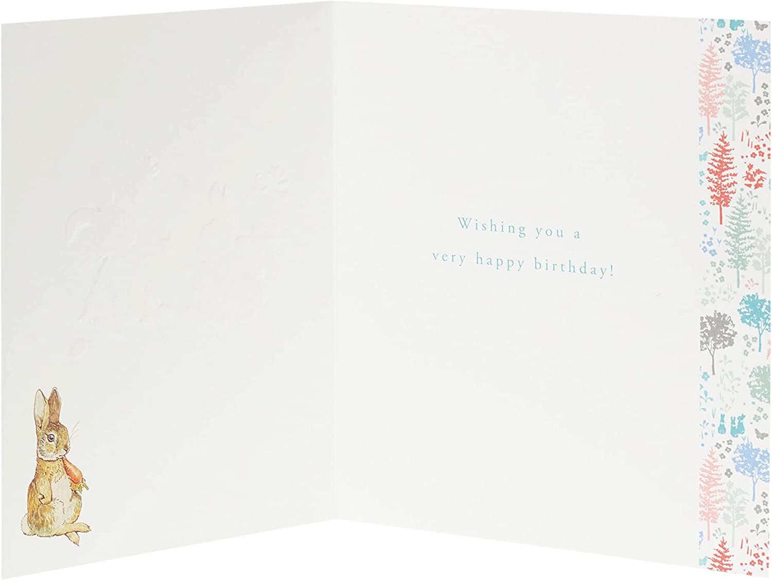 Peter Rabbit Special Birthday Wishes greeting card by UK Greetings featuring a charming illustration of Peter Rabbit for birthday celebrations.